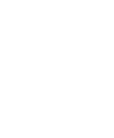Pucobre - Cliente de Reyes IA